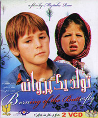 تولد یک پروانه 